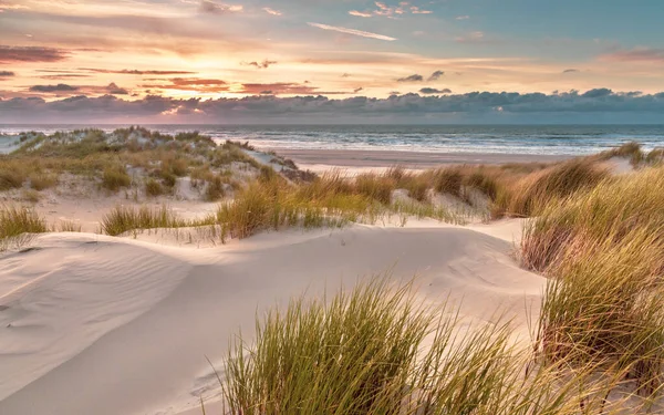 Coucher Soleil Vue Haut Des Dunes Sur Mer Nord Depuis — Photo