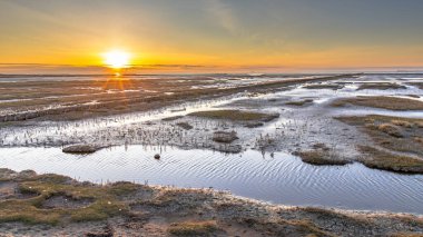 Wadden Denizi kıyısındaki tuzlu bataklık düzlüklerinin üzerindeki hava manzarası. Uithuizen, Groningen Eyaleti.