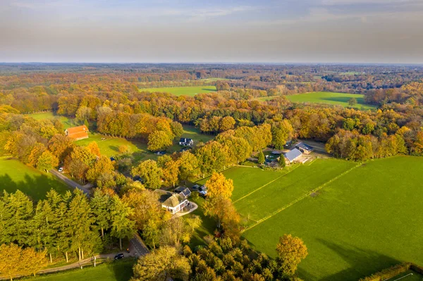 Hollanda 'nın Gelderland Eyaleti' ndeki Veluwe bölgesindeki büyük ormandaki tarımsal eski çayırlık alanlar. Avrupa 'nın doğasında manzara manzarası.