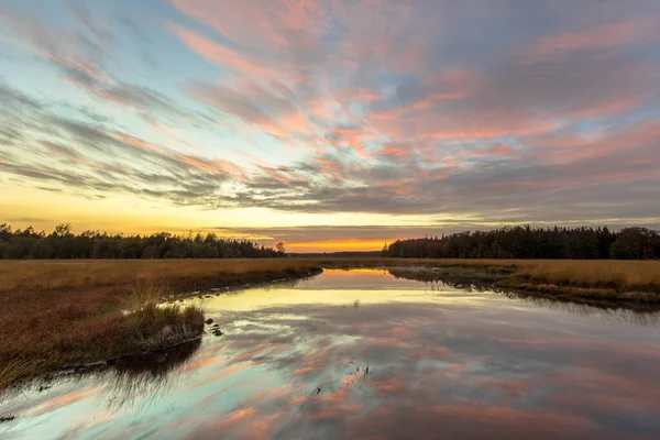 Fen Hedmark Naturreservat Landskap Solnedgången Med Rosa Moln Provinsen Drenthe — Stockfoto