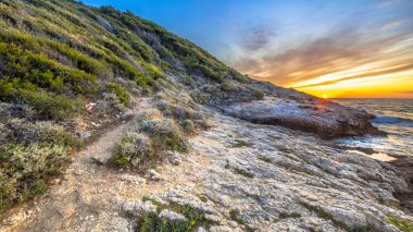 Fransa 'nın Korsika, Korsika, Cap Corse' un kayalık kıyı şeridinde sahil bitkilerinde yürüyüş izleri var.