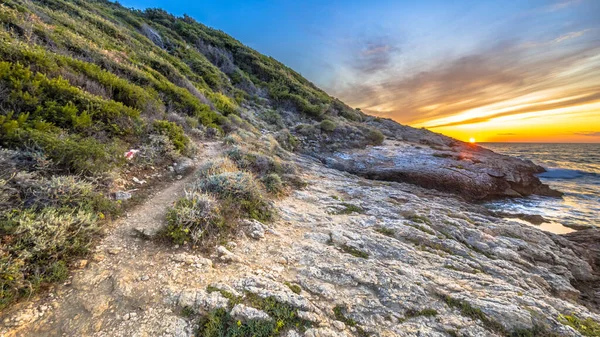 Fransa 'nın Korsika, Korsika, Cap Corse' un kayalık kıyı şeridinde sahil bitkilerinde yürüyüş izleri var.