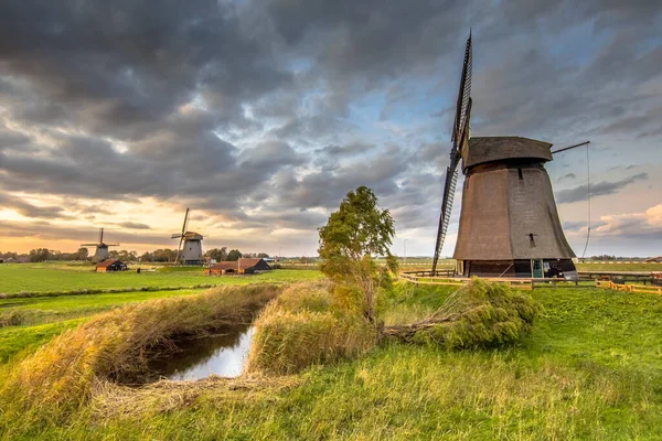 北オランダのSchermerhorn近くの古い農業風景の中に3つの伝統的な木製の風車 オランダ — ストック写真