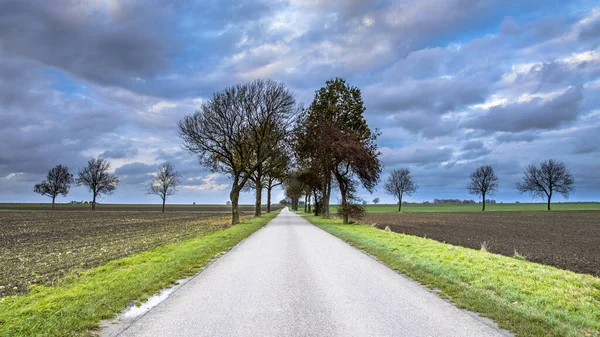 Droga Holenderskiej Wsi Prowincji Groningen Holandia Scena Krajobrazowa Przyrodzie Europy — Zdjęcie stockowe