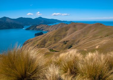 French Pass at Marlborough Sounds, South Island, New Zealand clipart