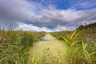 Kanal Duckweed Friesland, Ne ile tarım peyzaj