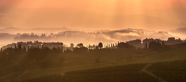 Toskanische Landschaft am Morgen — Stockfoto