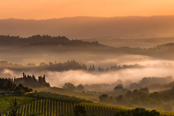 Paisagem da vila toscana em uma manhã nebulosa — Fotografia de Stock