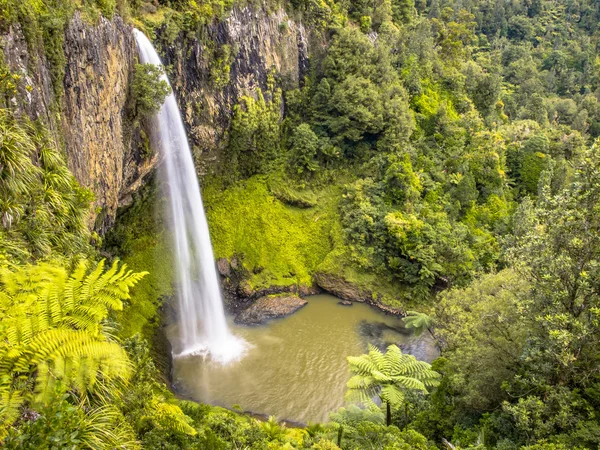 Jungle şelale içinde yemyeşil yağmur ormanları, Yeni Zelanda — Stok fotoğraf