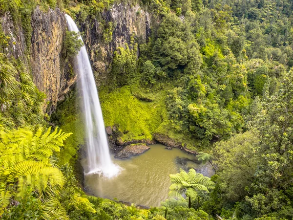 Jungle Waterfall in Lush Rain Forest, Nouvelle-Zélande — Photo