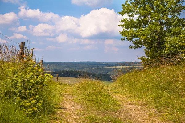 Szlak pieszy na wzgórzu w zielony krajobraz lato — Zdjęcie stockowe