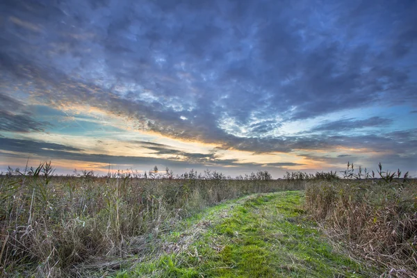 Chemin à travers la campagne sauvage — Photo