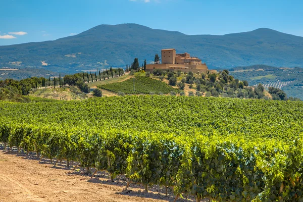 Castle overseeing Vineyard in Rows at a Tuscany Winery Estate, I — Stock Photo, Image