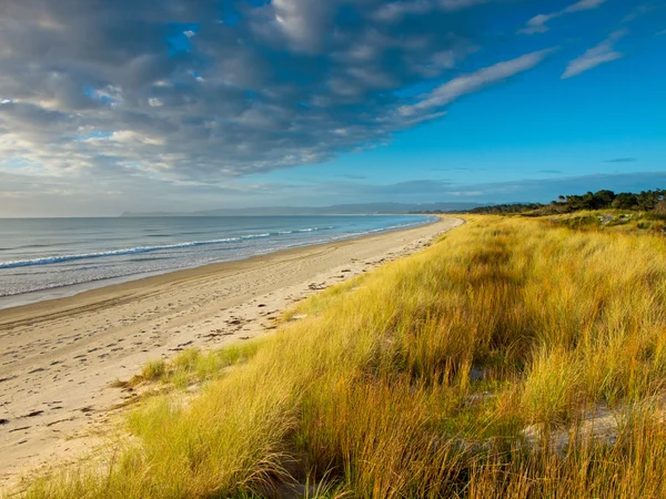 Strand von Uretiti — Stockfoto