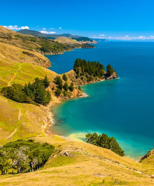 Mavi su Marlborough sesleri, South Island, Yeni Zelanda — Stok fotoğraf