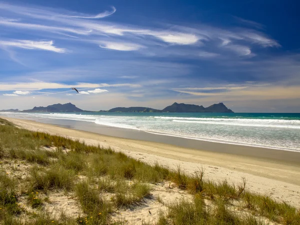 White Sand Beach at Waipu With Beautiful Blue Sky — Stock Photo, Image