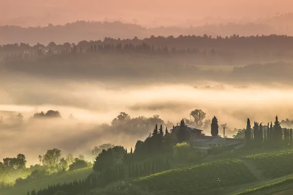 Toscane dorp landschap op een ochtend in juli — Stockfoto