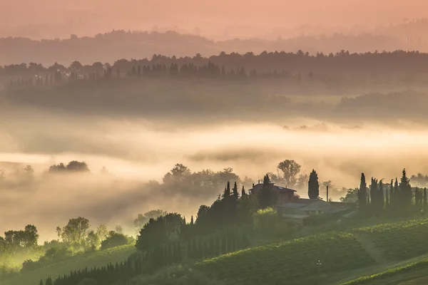 Paisaje de pueblo en Toscana en una mañana en julio —  Fotos de Stock