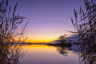 Sakin göl günbatımı sırasında Reed'le silüeti