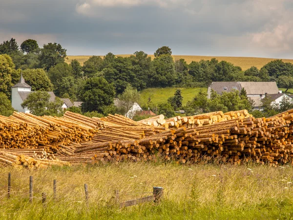 Piles of Wood Timber Trunks at a Lumber Yard in Germany — Stock Image Piles of Wood Timber Trunks at a Lumber Yard in Germany Royalty Free Stock Images