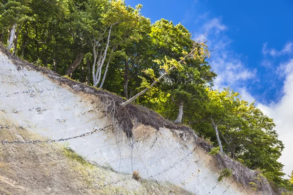 Vita klippor på Ruegen — Stockfoto