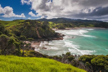 Tenha plajlar Adaları Bay, Northland Yeni Zelanda