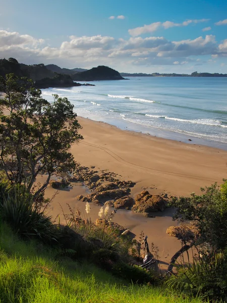 Divoká pláž v zátoce ostrovů, Northland, Nový Zéland — Stock fotografie