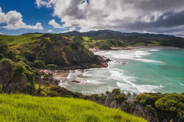 Afgelegen stranden in Bay of Islands, Northland, Nieuw-Zeeland — Stockfoto