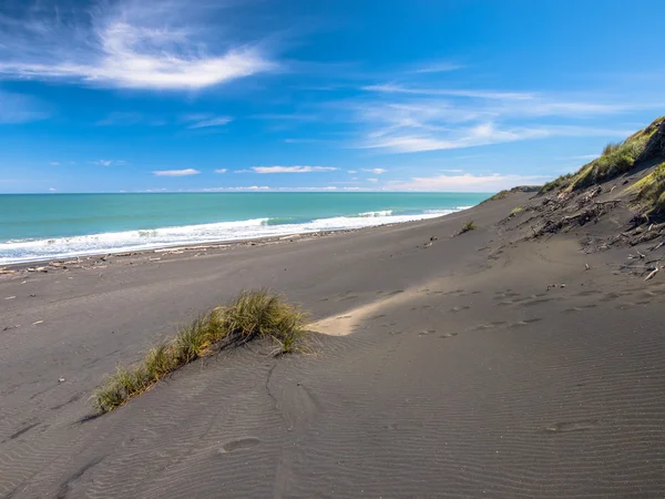 Trawa na czarnej piaszczystej plaży w pobliżu New Plymouth, Nowa Zelandia — Zdjęcie stockowe