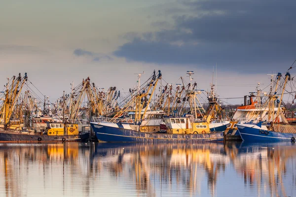 Frota de pesca holandesa durante o majestoso pôr do sol — Fotografia de Stock