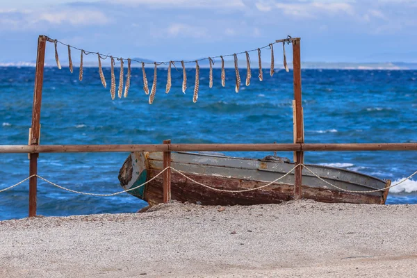 Drying squid — Stock Photo, Image