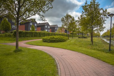 Yaz aylarında pırasa, Groningen, Hollanda