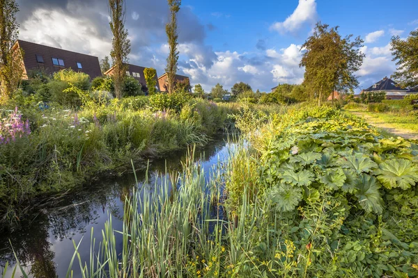 Canale di drenaggio ecologico — Foto Stock