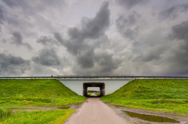 Nadchodzą kłopoty. — Zdjęcie stockowe