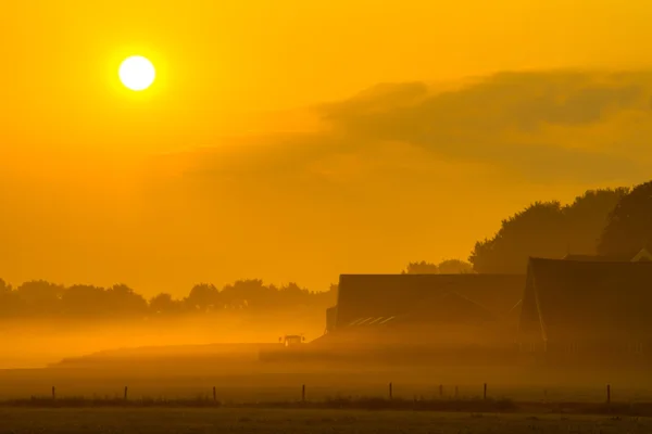Восход солнца на ферме — стоковое фото