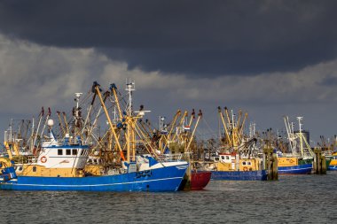 Hollandalı balıkçı tekneleri Lauwersoog Harbor