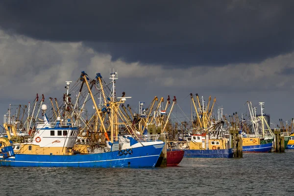 Barcos de pesca holandeses en el puerto de Lauwersoog — Foto de Stock