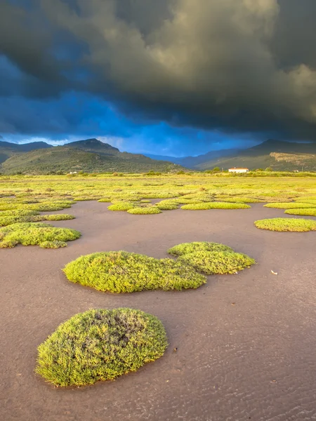 Lesbos Estuary sunrise — Stock Photo, Image