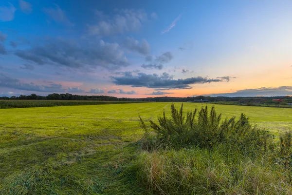 다채로운 농업 풍경 — 스톡 사진