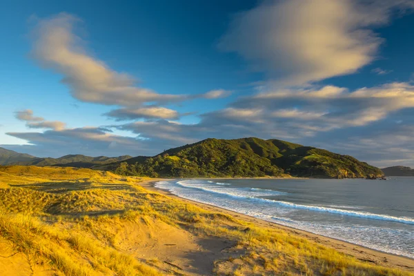 Waikawau Bay Sunrise — Stockfoto