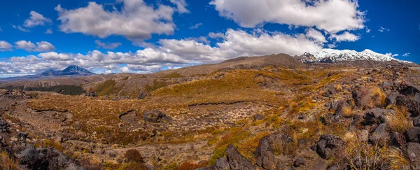 Panoramę tongariro — Zdjęcie stockowe