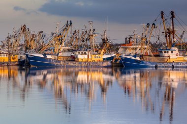 Hollandalı balıkçılık lauwersoog Harbor