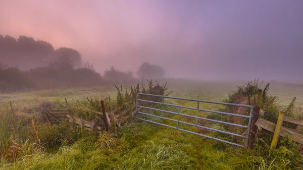 Mistige landbouwgrond poort — Stockfoto