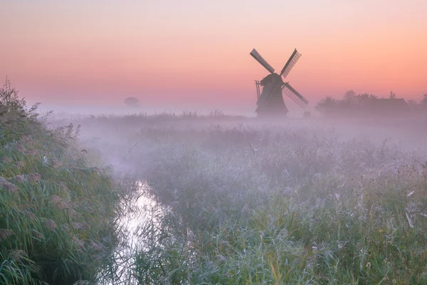 Paisaje polder con molino de viento tradicional — Foto de Stock