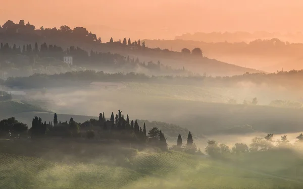 Toszkán falu táj egy Misty reggel júliusban — Stock Fotó