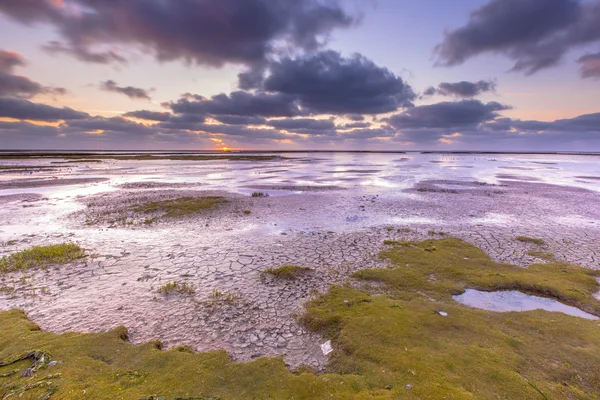 Land reclamation — Stock Photo, Image