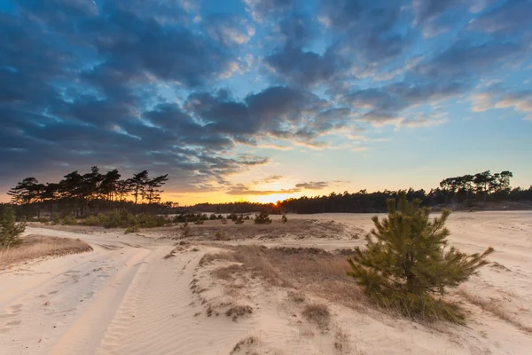Pôr do sol sobre a reserva natural de areia à deriva — Fotografia de Stock