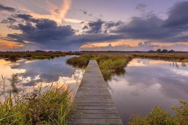 Voetgangersbrug in wetland — Stockfoto