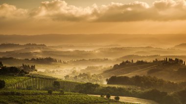 Tuscany in the early morning clipart