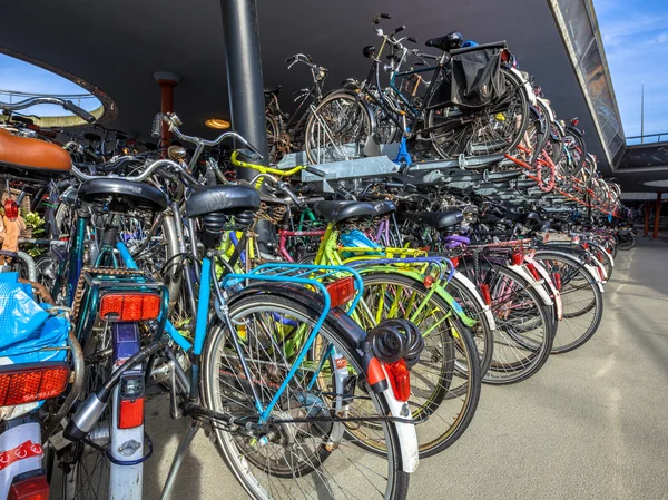 Lots of parked bicycles — Stock Photo, Image